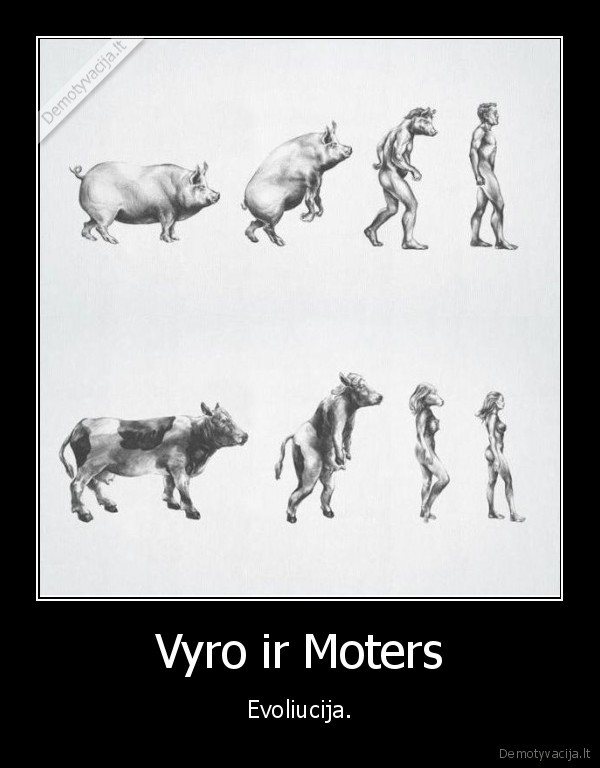 Vyro ir Moters