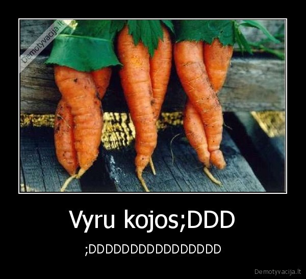 Vyru kojos;DDD