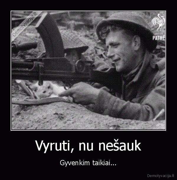 mazas, kaciukas,karas