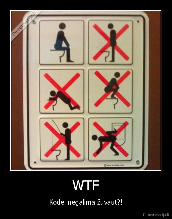 sikt, ten, reik, o, ne, karpius, gaudyt