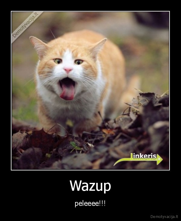 Wazup