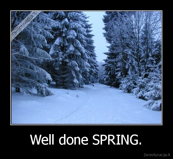 Well done SPRING.