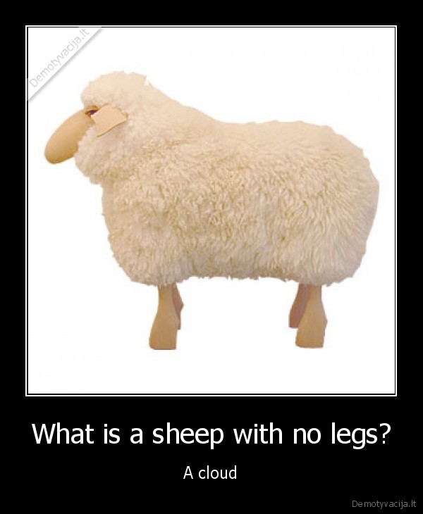 What is a sheep with no legs?
