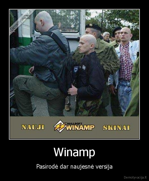 winamp, skinai