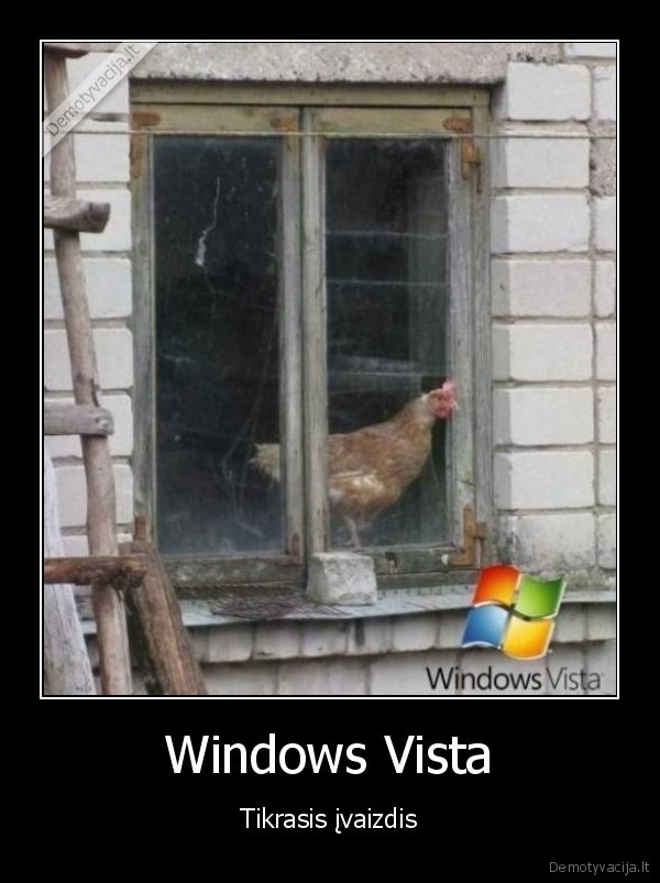 vista