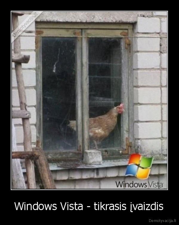 Windows Vista - tikrasis įvaizdis