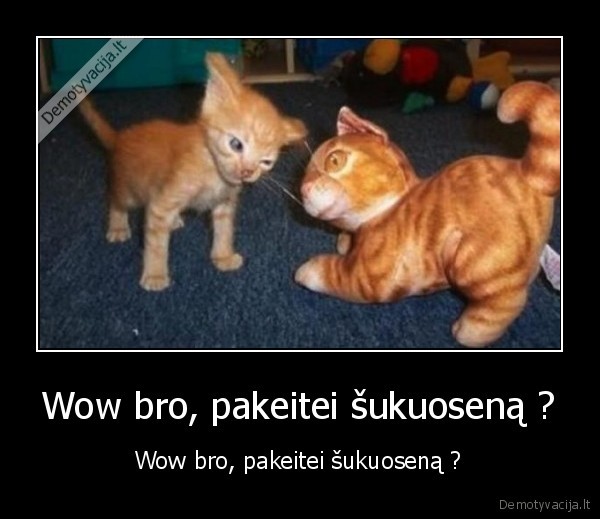 e, zek, ryzas, kacioks