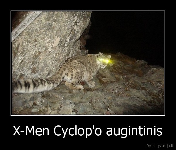 X-Men Cyclop'o augintinis