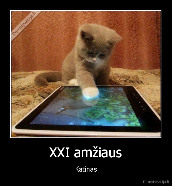 katinas,protingas, kaciukas,kaciukas, zaidzia