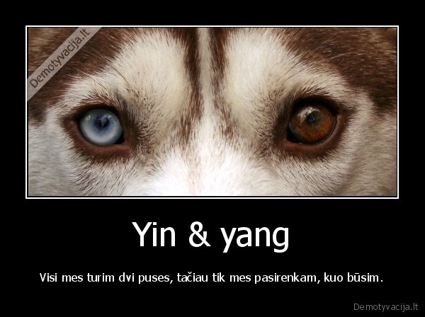 Yin &amp; yang