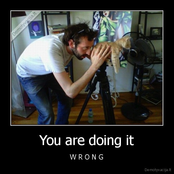 fotoaparatas,katinas