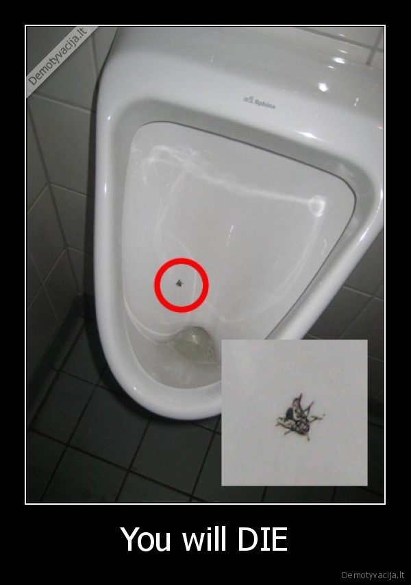 vienintelis, kuris, nesupras, bieberis