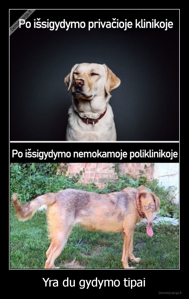 gydymas,poliklinika,klinika,viesai,nemokamai