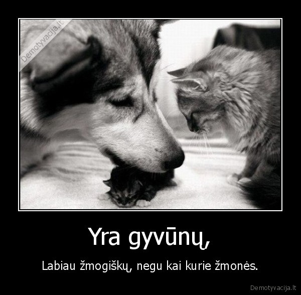 Yra gyvūnų,