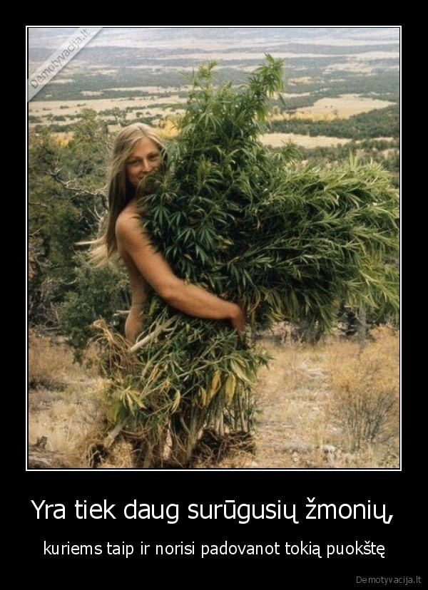 puokse,jukas,sypsena,laime