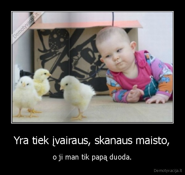 kudikis,papas,maistas,visciukai,vistiena