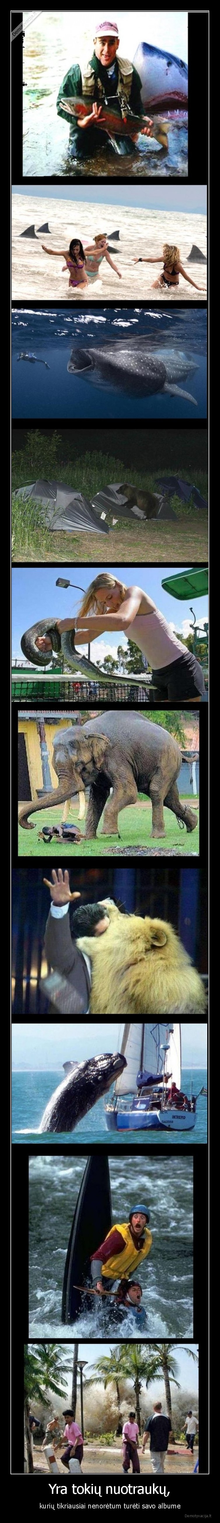 nuotraukos,albumas,pavojus,baisu