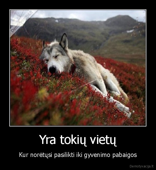 gyvenimo,pabaiga,grazi,vieta