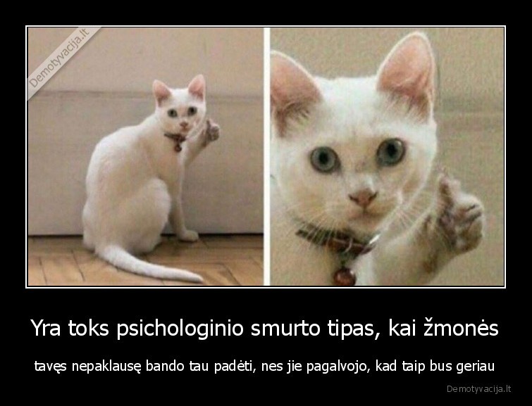 psichologinis,smurtas,tipas,katinas