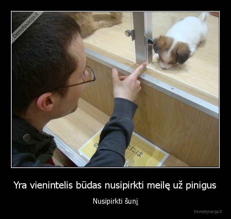 suns, pirkimas,suniska, meile,suns, meile