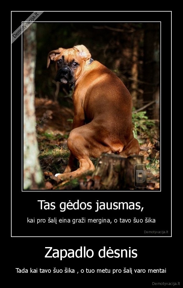 suo, mentai, nera, maisellio