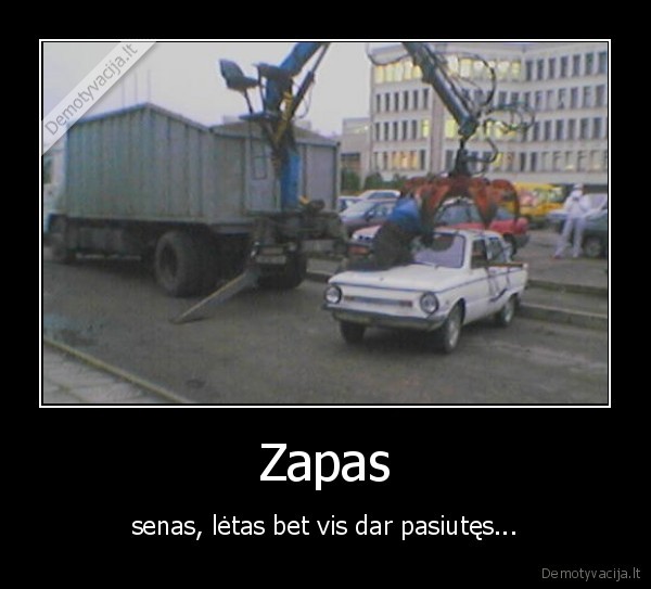 zapas,zaparozietis,senas,letas,pasiutes