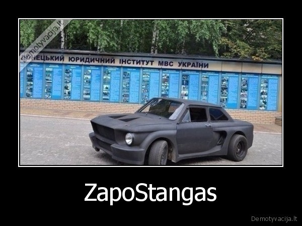 mustang,zapukas