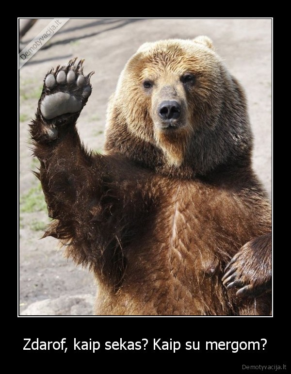 Zdarof, kaip sekas? Kaip su mergom?