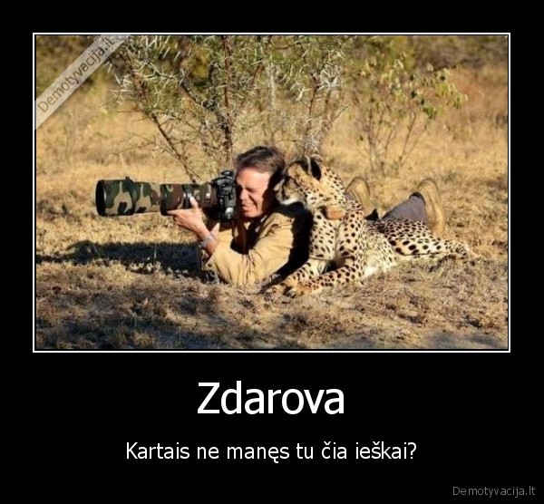 leopardas,fotografas,laukine, gamta