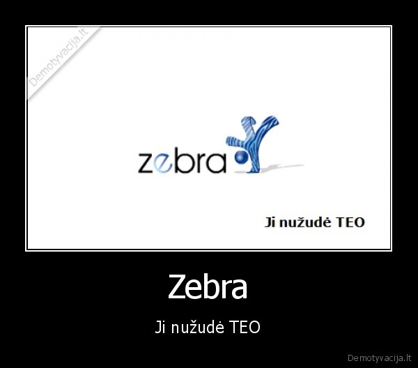 zebra, ji, nuzude, teo, sparta, greitas, internetas, tiekejas