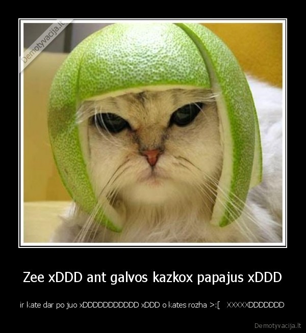 ziauriai, kieta, demo, xddddddddd