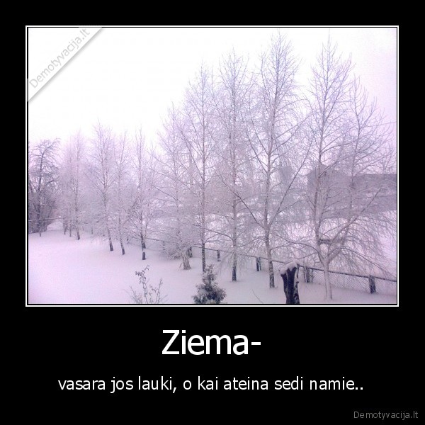 ziema