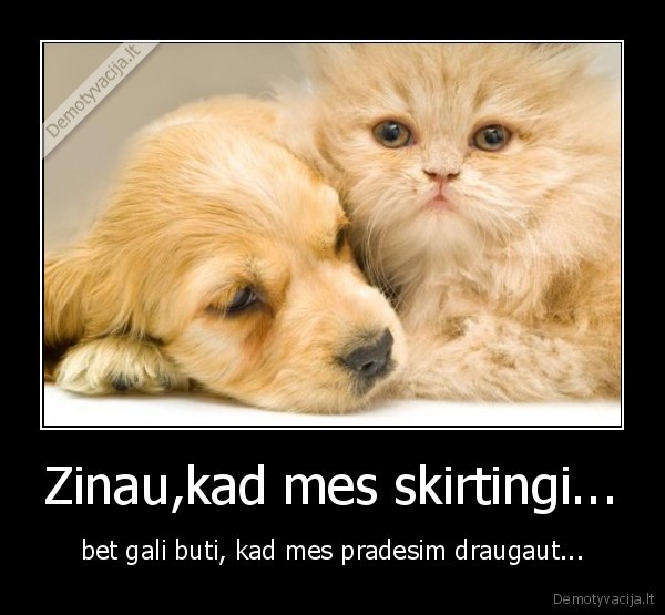 Zinau,kad mes skirtingi...