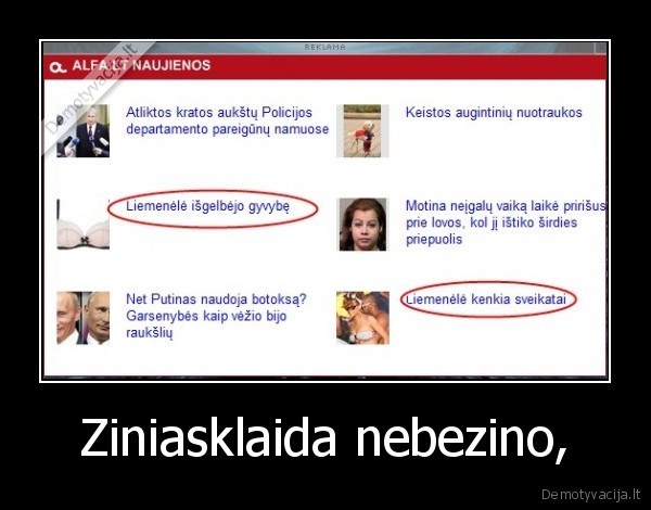 Ziniasklaida nebezino,