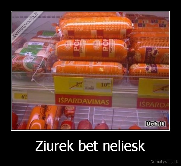 Ziurek bet neliesk