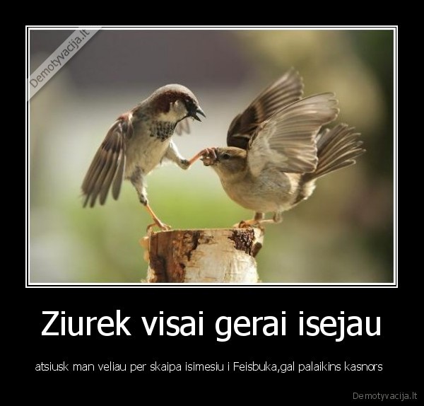 pauksciai, ir, fb, d