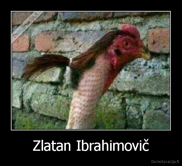 Zlatan Ibrahimovič