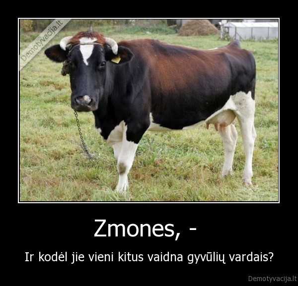 Zmones, - 