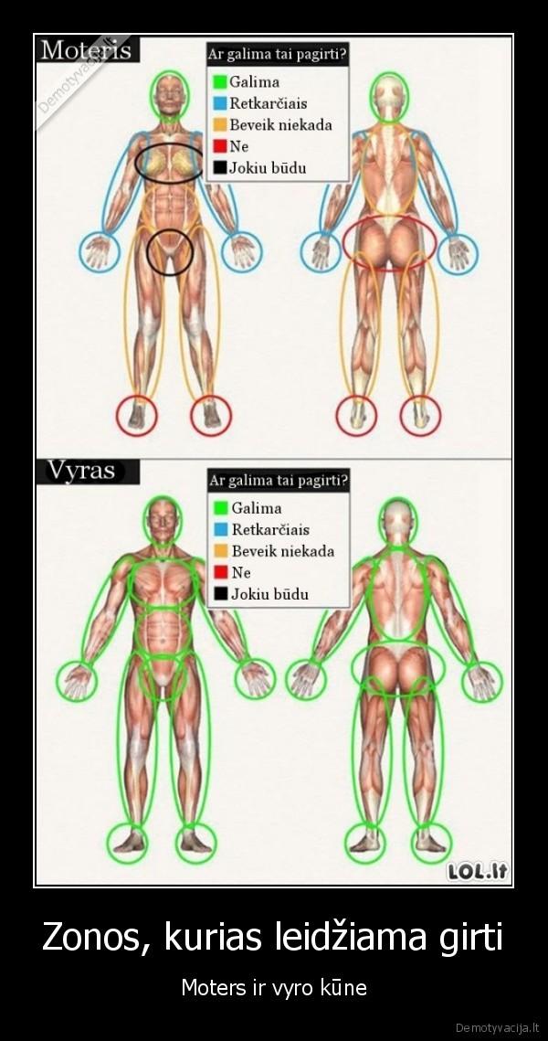 pagyros,komplimentai,pagyrimas