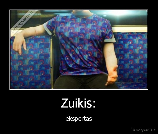 zuikis,autobusas