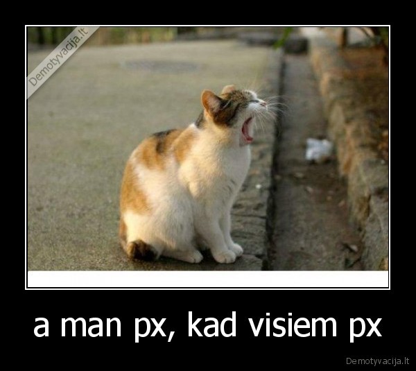 px,visiem