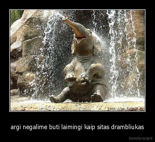 argi negalime buti laimingi kaip sitas drambliukas