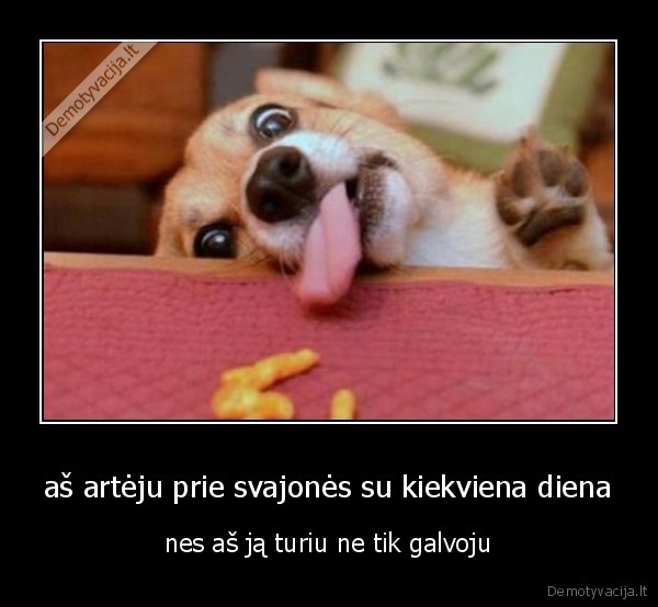 aš artėju prie svajonės su kiekviena diena