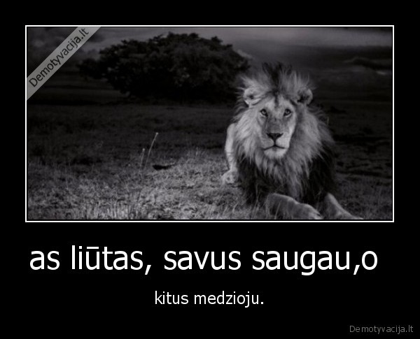 liutas,saugojimas,savi