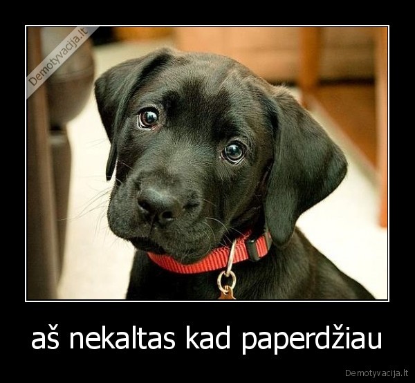aš nekaltas kad paperdžiau