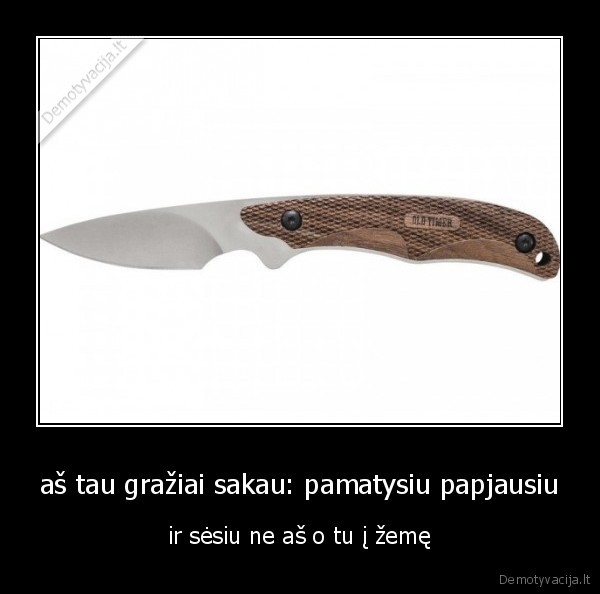 aš tau gražiai sakau: pamatysiu papjausiu