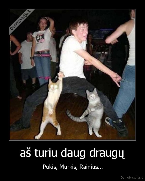 aš turiu daug draugų