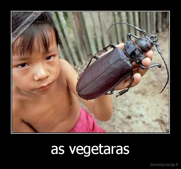 as vegetaras