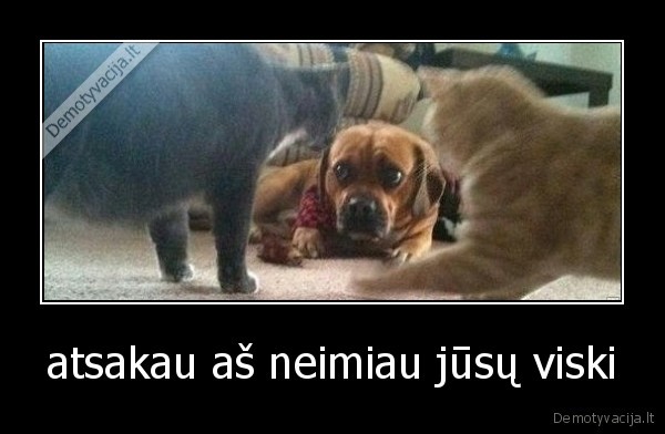 atsakau aš neimiau jūsų viski