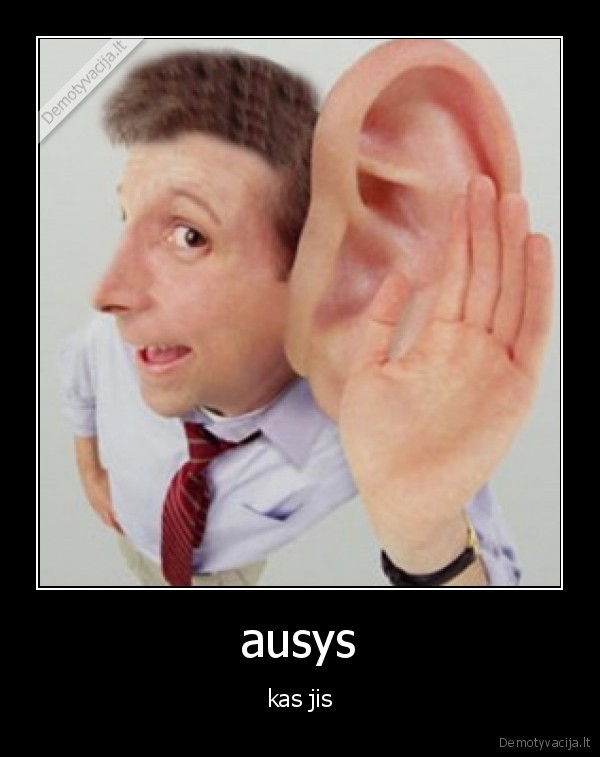 ausys